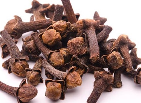 تصویر 4 از خرید و قیمت گیاه دارویی میخک + فروش صادراتی